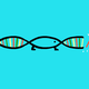 Illustration for article titled Are Limited Lifespans An Evolutionary Adaptation?